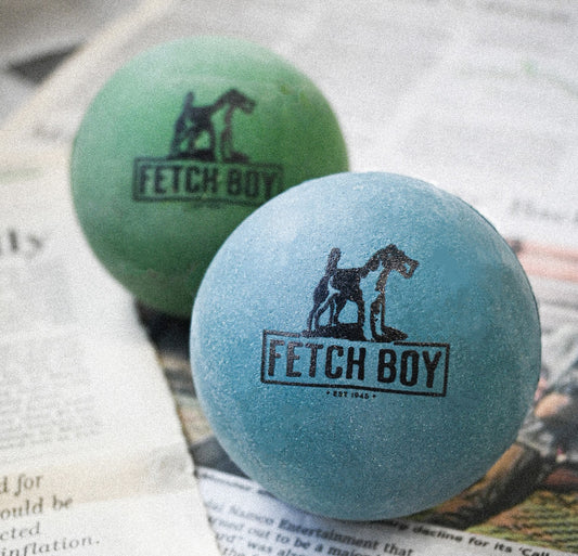 The O.G. of Bounce Fetch Boy Solid Rubber Dog Ball