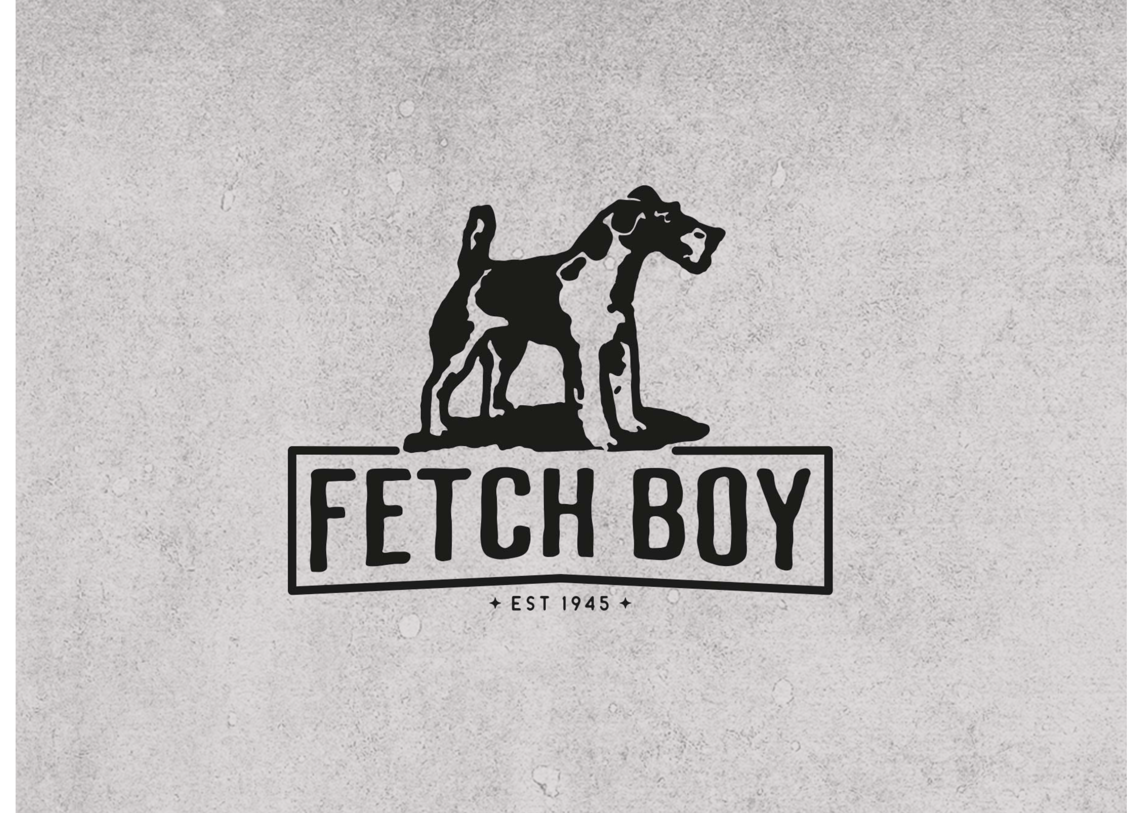 Fetch Boy
